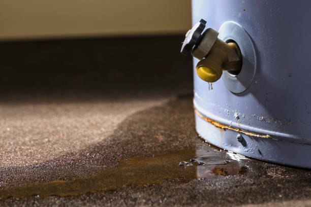 Best 24/7 water damage repair  in Fall Creek, WI