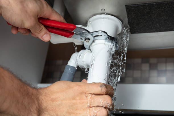 Best Fire Damage Restoration  in Fall Creek, WI