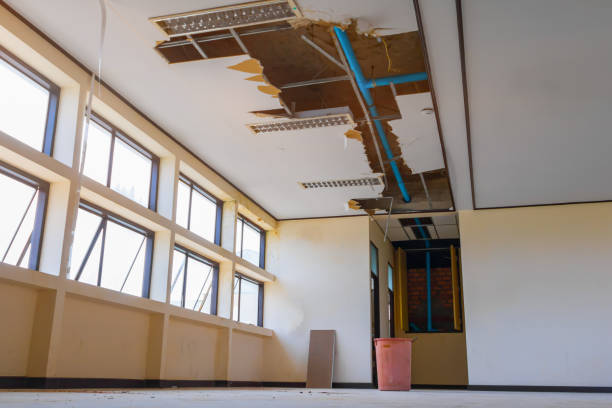 Best Mold removal after water damage  in Fall Creek, WI