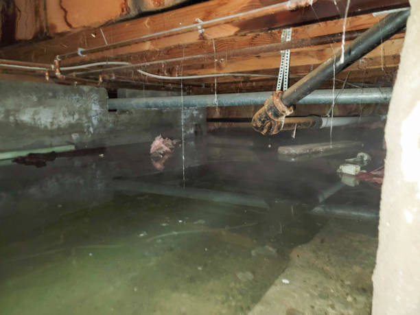 Reliable WI Water damage restoration Solutions