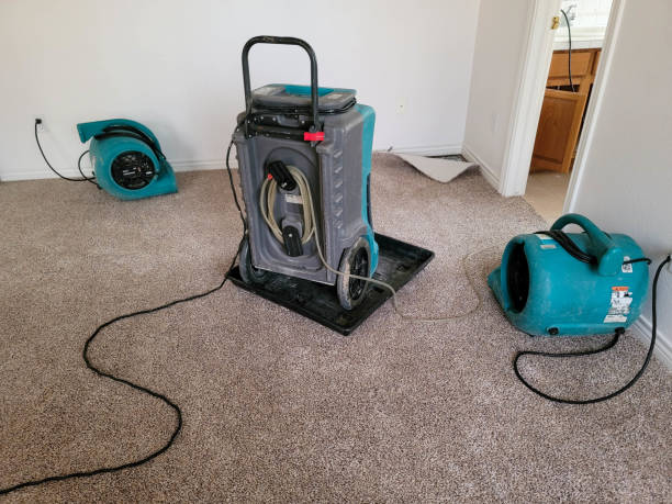 Best Water damage repair service  in Fall Creek, WI
