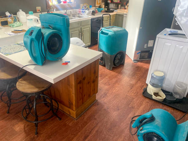 Best Water damage restoration near me  in Fall Creek, WI