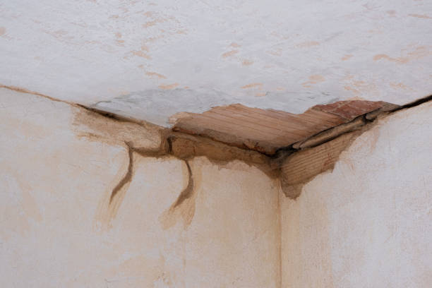 Best Commercial water damage restoration  in Fall Creek, WI