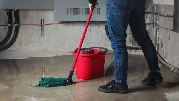 Best Ceiling water damage repair  in Fall Creek, WI