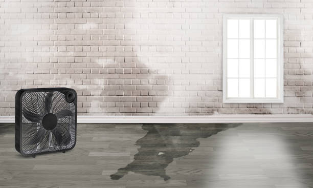Best Water damage restoration insurance claims  in Fall Creek, WI