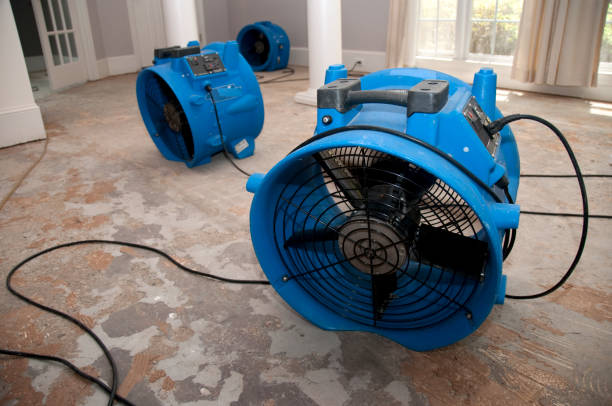 Best Basement water damage restoration  in Fall Creek, WI
