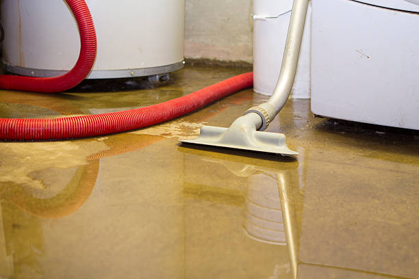 Best Carpet water damage restoration  in Fall Creek, WI
