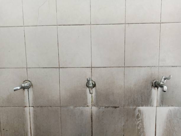 Best Flooded house restoration  in Fall Creek, WI