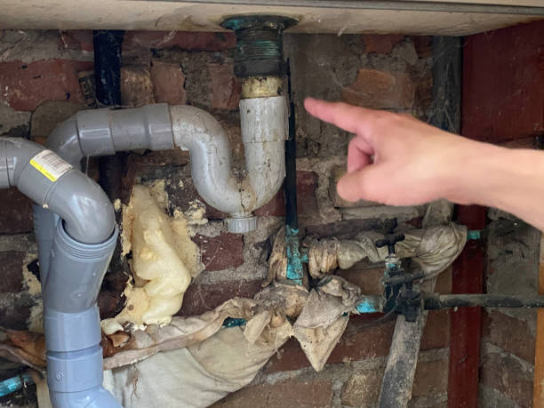Best Water damage contractors near me  in Fall Creek, WI
