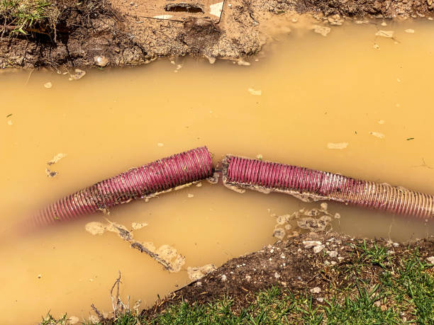 Best Water damage cleanup near me  in Fall Creek, WI